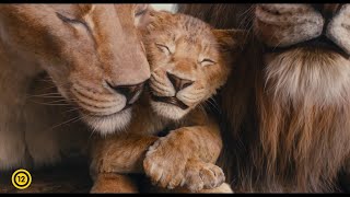Mufasa: Az oroszlánkirály előzetes magyar szinkronnal