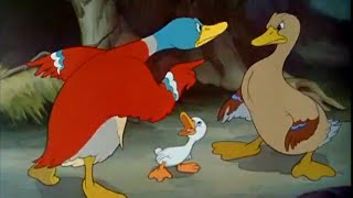 The Ugly Duckling előzetes