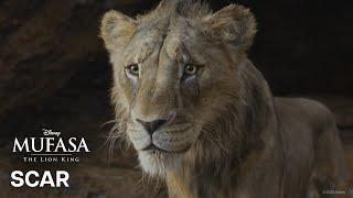 Mufasa: Az oroszlánkirály előzetes