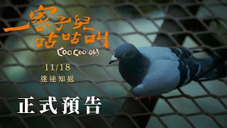 一家子兒咕咕叫 előzetes