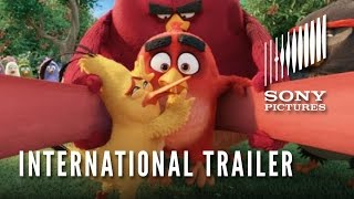 Angry Birds - A film előzetes