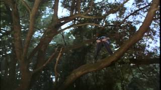 Ace Ventura - Hív a természet előzetes