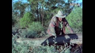 My Survival as an Aboriginal előzetes