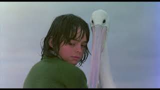 Storm Boy előzetes