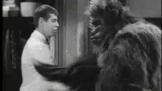 Bela Lugosi Meets a Brooklyn Gorilla előzetes
