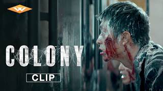 Colony előzetes