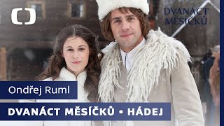A 12 hónap
