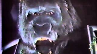 King Kong előzetes