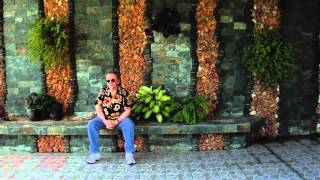 Paul Williams Still Alive előzetes