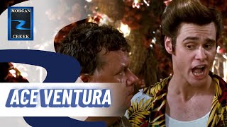 Ace Ventura - Hív a természet előzetes
