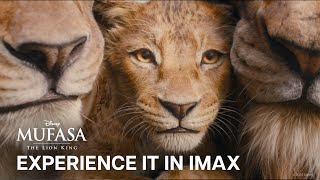 Mufasa: Az oroszlánkirály előzetes