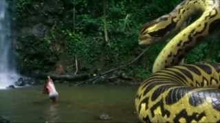 Piranhaconda előzetes