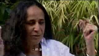 Maria Bethânia: Música é Perfume előzetes