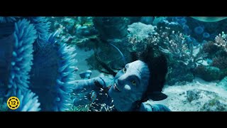 Avatar: A Víz útja előzetes magyar szinkronnal