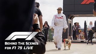 F1 előzetes